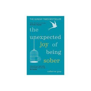 The Unexpected Joy of Being Sober: Discovering a Happy Healthy Paperwork